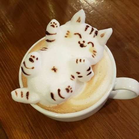 Cat Cafe Food Drinks, Cat Pastries, Cat Cafe Food, Cat Cafe Aesthetic, Animal Cafe, 귀여운 음식 그림, Coffee Latte Art, Kawaii Cooking, Cute Baking