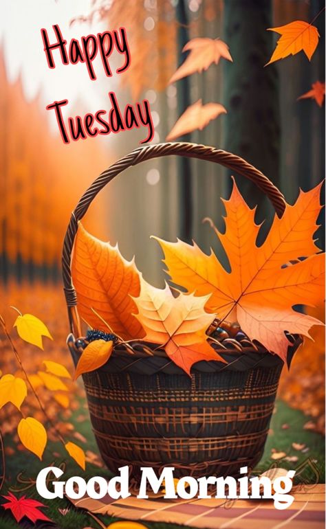 Tuesday Fall Morning, Good Morning Tuesday Fall Images, Good Morning October 1st, Happy Tuesday Fall, Fall Good Morning, Good Morning Fall, Good Tuesday Morning, Good Morning Happy Tuesday, Ras Malai