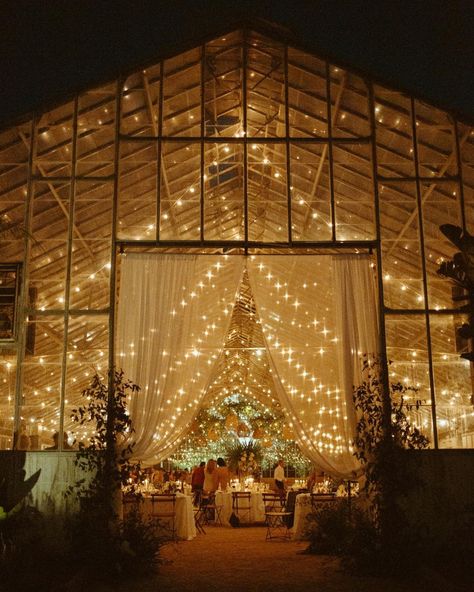 15 Important Questions to Ask Your Wedding Venue Before You Book Glass House Wedding, Summer Wedding Reception, Reception Entrance, Clear Tent, Dream Venue, Tent Wedding, Wedding Lights, Glass House, Green Wedding