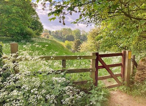 Memories of a Cotswold Summer . Cow Parsley, green grass, bursting trees, warm sun… it’s just around the corner and here’s a little teaser… Shire Aesthetic, Cotswolds Cottage, Country Fences, Country Lane, Cow Parsley, Cottage Aesthetic, Scenery Pictures, The Cotswolds, English Countryside