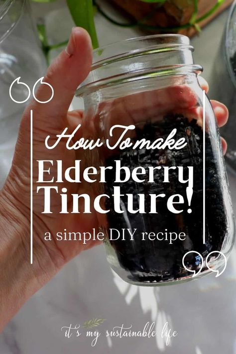 Diy Syrup, Elderberry Tincture, Homemade Elderberry Syrup, Tinctures Recipes, Elderberry Syrup Recipe, Homemade Elderberry, Elderberry Recipes, Gummies Recipe, Healthy Immune System