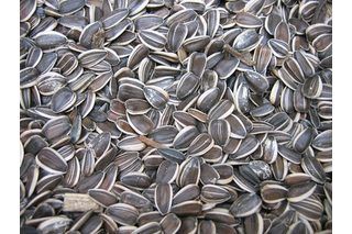 Roasting Sunflower Seeds, Sunflower Seed Recipes, Harvesting Sunflower Seeds, Food For Special Event, Edible Seeds, Garden Recipes, How To Make Homemade, Sunflower Seeds, Appetizer Snacks