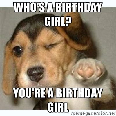 Who's a Birthday Girl? You're a Birthday Girl - fist bump puppy Birthday Quotes Funny For Her, Funny Happy Birthday Quotes, Happy Birthday Humorous, Birthday Girl Meme, Birthday Funnies, Happy Birthday Memes, Funny Happy Birthday Meme, Memes Gretchen, Birthday Quotes For Her