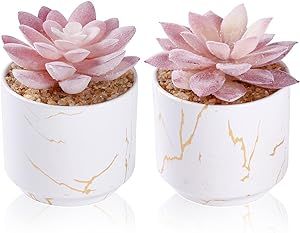 Succulents Indoor Decor, Pink Office Decor, Bureau Decor, Office Decor For Women, Cute Desk Accessories, Desk Plants, Fake Plants Decor, Pink Room Decor, Pink Office