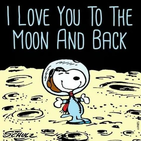 I love you to the moon and back Snoopy Snoopy Funny, Snoopy Images, Peanuts Cartoon, Charlie Brown Snoopy, Peanuts Characters, Snoopy Quotes, Snoopy Pictures, Snoop Dog, Joe Cool