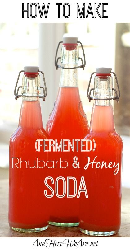 Fermented Rhubarb, Fermented Beverages, Fermenting Foods, Lacto Fermentation, Fermented Drinks, Homemade Soda, Kombucha Tea, Fermentation Recipes, Soda Recipe