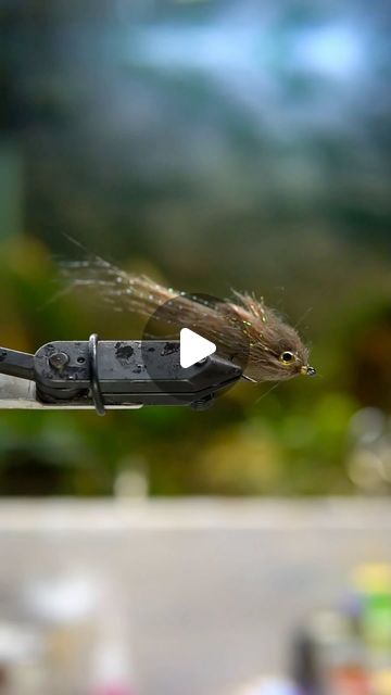 Severiano Adame Garza on Instagram: "If you haven’t ever been to @sportsmansfinest for their weekly Fly Tying Night, then you should give it a shot. This past week @cmconant taught an EP Minnow pattern that I think would work in fresh or salt water. His technique for attaching the eyes with long pliers was the highlight of the lesson for me. The atmosphere at Sportsman’s is very laid back and it’s the perfect place to learn for any level of fly tyer. It is particularly helpful for beginners because there are usually multiple people looking over your shoulder giving you feedback (if you want it). Materials/Tools: Hook: @ownerhooks Size 2 Mosquito Hook Tail: Kraft Fur (Tan) Flash: @harelinedubbin Krystal Flash Wrap: @upavon_flyfishing Pesca Vida Streamer Straggle (Holo Golden Brown) Dubbin Salt And Water, Fly Tying, Fly Fishing, Perfect Place, Water, Instagram