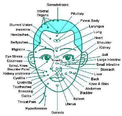 These are Hand & Foot & Ear & Head Reflex Pointsİf You have any Sickness , You can give Yourself a Massage to This Reflex Points ( Press with thumb for 5 seconds & release for 3 seconds, in the affected point. Repeat for 2-3 minutes for 5 to 10 days. You will get relief  with Natural Oils Reflexology Chart, Face Mapping, Reflexology Massage, Shiatsu Massage, Acupuncture Points, Acupressure Points, Facial Massage, Alternative Health, Pressure Points