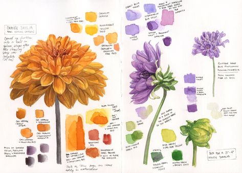 Botanical Sketchbook, Easy Flower Painting, Gcse Art Sketchbook, Flower Drawing Tutorials, Art Tutorials Watercolor, Watercolor Journal, Galaxy Painting, Nature Drawing, Botanical Watercolor