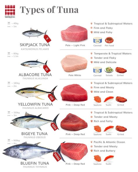 Resep Sushi, Culinary Basics, Culinary Lessons, Food Knowledge, Culinary Cooking, Best Seafood Recipes, Culinary Techniques, Food Infographic, Makanan Diet