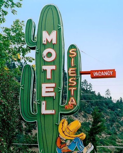 siesta motel sign  #motelsign #roadsidestop #neonsign #Oldsign #cactussign Old Neon Signs, Roadside Signs, Motel Sign, Retro Signage, Durango Colorado, Soldier Field, Vintage Neon Signs, Retro Sign, Roadside Attractions