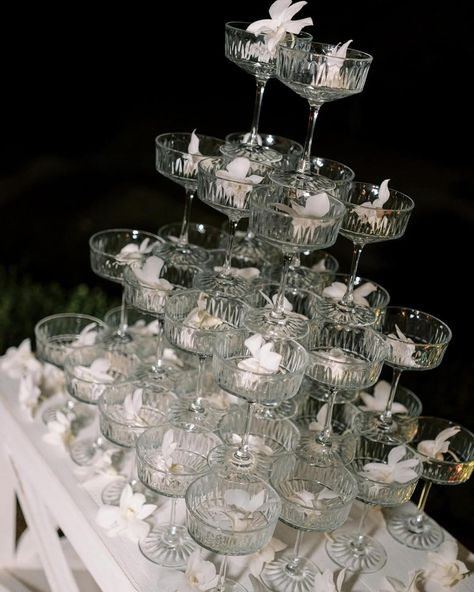 Absolutely love this Champagne waterfall/ tower captured by @amarachiikejiphotography 🥂 planning & design by the amazing @mbmeventsdesign photo & video by @amarachiikejiphotography florist @distinctiveeventdesign stationery @boxedweddinginvitations venue @stonewoodfarmsvenue catering @coconutcup_nyc1 makeup @bforbeaute.co hair @bflyyexperience saxophonist @ketlersax #amarachiikejiphotography #stonewoodfarmswedding Champagne Waterfall, Champagne Tower, May 11, Event Design, The Amazing, Florist, Love This, Champagne, Tower