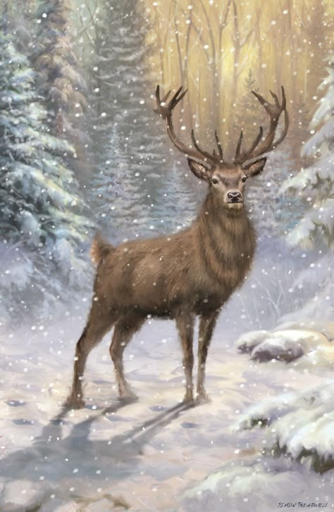 Simon Treadwell | Advocate Art Deer Painting, Deer Fawn, Winter's Tale, Deer Art, Snowy Forest, Christmas Illustrations, Winter Painting, Christmas Painting, Vintage Deer