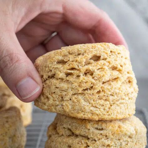 100% Whole Wheat Buttermilk Biscuits - A Red Spatula Vegan Dinner Rolls, Whole Wheat Biscuits, Wheat Flour Recipes, Homemade Biscuit, Flour Biscuits, Wheat Biscuits, Buttermilk Biscuit, Homemade Biscuits Recipe, Sugar Biscuits