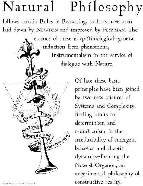 Natural Philosophy   -Science developments in astronomy and physics were at the heart of the scientific revolution, one must begin with the traditional European conception of the universe. - Scientists considered their field a natural philosophy with the intention to create modern science but to ask fundamental questions about the nature of the universe, its purpose, and how it functioned. - What we call now "Science" Philosophy Major, Scientific Revolution, Natural Philosophy, Book Of Shadows, Scientists, The Universe, Astronomy, Philosophy, Physics