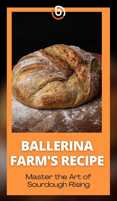 Sourdough Bread Ballerina Farm, Ballerina Farms Sourdough Bread, Ballerina Farm Sourdough Bread Recipe, Turner Farm Sourdough, Ballerina Farms Sourdough Recipe, Turner Farm Sourdough Recipe, Ballerina Farm Recipes, Ballerina Farm Sourdough, Sourdough Basics