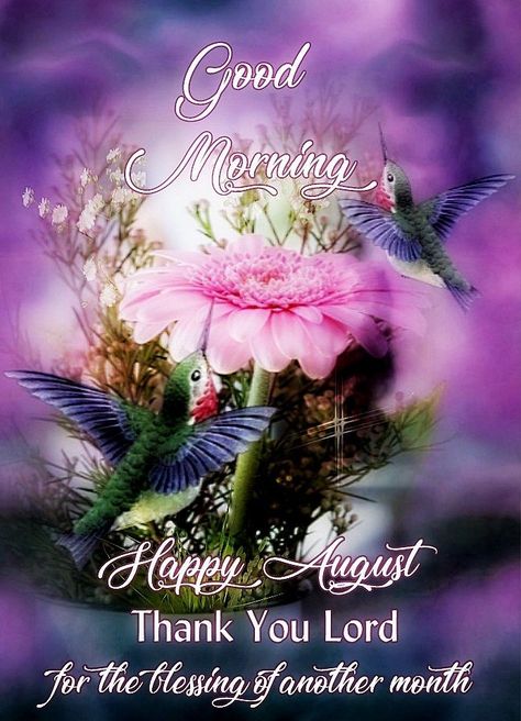 Good Morning Happy August Pictures, Photos, and Images for Facebook, Tumblr, Pinterest, and Twitter August Month Quotes, Welcome August Quotes, Hello August Images, New Month Greetings, Happy New Month Messages, Happy New Month Quotes, August Pictures, August Images, New Month Quotes