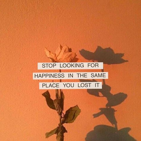 quotes + design on Instagram: ““Stop looking for happiness in the same place you lost it.”” Lost Happiness Quotes, Place Quotes, Happiness Quote, Poetry Lovers, Exam Quotes Funny, Exam Quotes, Perfect Captions, Tumblr Users, Saving Quotes