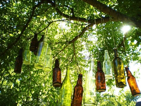 Bottles In Trees Hanging, Bottles Hanging From Trees, Hanging Bottles Decoration, Hanging Bottles, Bottles Aesthetic, Bottle Aesthetic, Bottle Trees, Bottle Tree, Southern Gothic