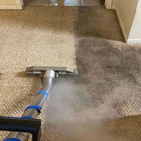 Looking for top-notch carpet cleaning in Radlett and nearby areas? Look no further than Design Care! Let us take care of all your carpet cleaning needs. Best Homemade Carpet Cleaner For Machine, Carpet Shampoo Solution For Machine, Solution For Carpet Cleaner Machine, Diy Carpet Cleaning Solution For Machine Steam Cleaners, Carpet Cleaning Solution, Clean Sofa, Mattress Cleaning, Carpet Cleaning Service, Cleaning Techniques