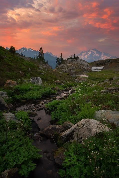 Enjoy a stunning piece of art on your wall! Choose from a canvas or photo paper print.  Featured: North Cascades, Washington Please choose your size and style from the drop-down menu above. PRINTS: -Beautiful, professional-quality Kodak lustre paper -Vibrant colors bring the image to life -Great for framing (frame not included) -Packed and shipped carefully in a box with cardboard backing to ensure no bending CANVAS: -Printed on professional photo paper and bonded onto museum-quality canvas -Fin Photography Home Decor, Photo Widget, Widget Ideas, Canvas Photo, Photography Home, Pretty Landscapes, North Cascades, Canvas Photo Prints, Nature Aesthetic