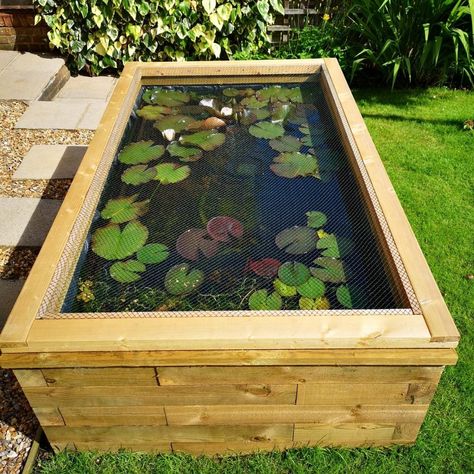 Raised Pond Ideas, Above Ground Pond, Diy Ponds Backyard, Raised Pond, Pond Kits, Court Yard, Garden Pond Design, Turtle Pond, Diy Pond