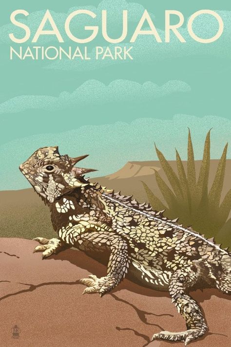 Texas Horned Lizard, Horned Lizard, Saguaro National Park, Wood Postcard, Free Canvas, Stock Art, Antique Maps, Art Ink, National Monuments