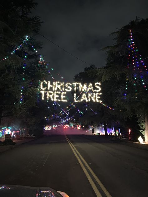 #ChristmastreeLane #FresnoCalifornia #Fresno #Christmas #Christmaslights #California Christmas In California Aesthetic, Fresno Aesthetic, California Christmas, Fresno California, Christmas Tree, California, Christmas, Quick Saves