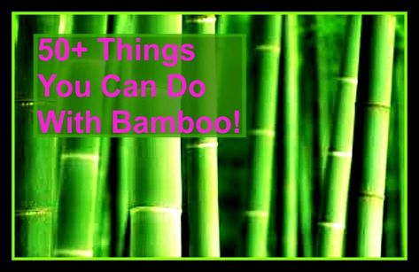 Bamboo is the bomb!  I think it is the single most fascinating plant on the planet!  Here are more than 50 things you can do with bamboo but I'm sure there are many more ideas out there! Bamboo Furniture Diy, Bamboo Boat, Wood Chip Mulch, Bamboo Diy, Succulent Planter Diy, Bamboo Planter, Bamboo Structure, Wood Chipper, Bamboo Art