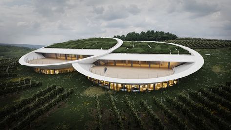 Sauska Wines commissioned BORD Architectural studio to design a state-of-the-art manufacturing plant. Through its extraordinary architecture the new Sauska Winery of Tokaj, Hungary ventures upon reviving Padi-Hill. Aware of the surrounding World Heritage Wine Region, instead of a traditional „house-like” winery building, only two, statuesque bowls are floating above the wine yard at the heart of the scheme. #winery #architecture #modern #contemporary #landscape #agriculture #amazingarchitecture Wine House Architecture, Winery Architecture Design, Winery Landscape, Winery Building, Wine Yard, Hill Architecture, Winery Architecture, Wine Architecture, Extraordinary Architecture