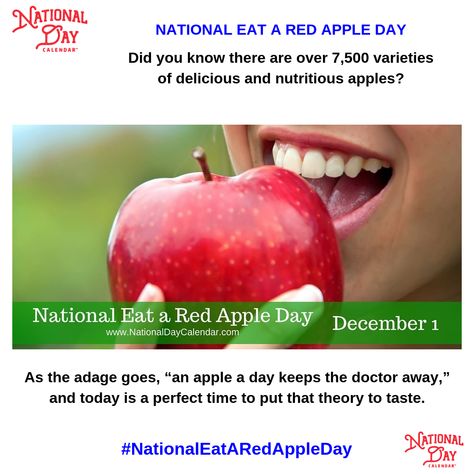 National Eat a Red Apple Day - Did you know there are over 7,500 different varieties of apples? Do you have a favorite? It would take you 20.5 years to try every variety, so you best get started! List Of National Days, Someone Eating, Apple Day, National Day Calendar, It's December, Wacky Holidays, National Days, Photo Frame Gallery, December 1