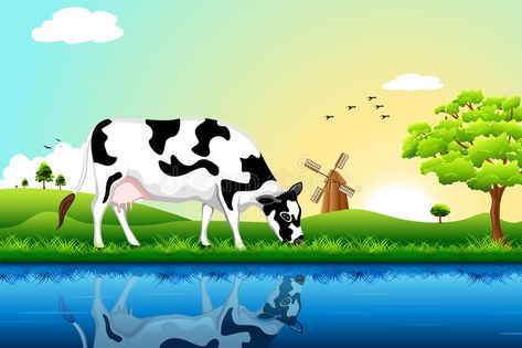 Grazing Cow royalty free illustration Cow Grazing, Grazing Cow, Box Background, Cow Illustration, Baby Cows, Free Illustration, Cartoon Background, Cartoon Images, Cute Cows