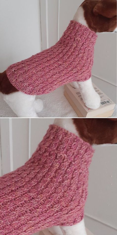 Cat Sweater Knitting Pattern Easy Free, Cat Sweater Knitting Pattern, Knitting Patterns For Dogs, Knitted Dog Sweater Pattern, Knitting Patterns Free Dog, Dog Coat Pattern, Easy Knitting Patterns Free, Knitted Dog, Dog Sweater Pattern