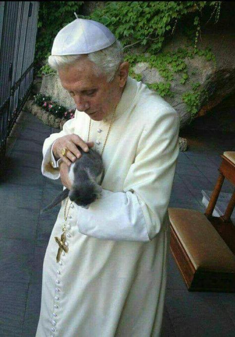 Celebrities With Cats, Benedict Xvi, Pope Benedict Xvi, Pope Benedict, The Pope, Pope John, Cat People, Pope Francis, Catholic Faith