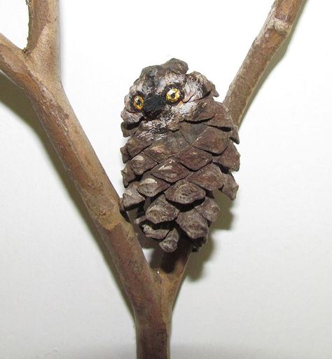 Pine Cone Animals, Pinecone Owls, Pinecone Crafts Christmas, Pine Cone Art, Cone Crafts, Acorn Crafts, Fairy Garden Crafts, Deco Nature, Pine Cone Decorations