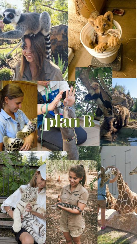 Zoologist Career, Zoology Career, Career Aesthetic, Irwin Family, Green Jobs, Wildlife Biologist, Wildlife Rehabilitation, Eco Life, Adventure Baby