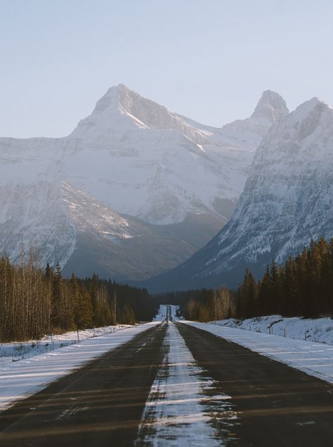 Pestilence Aesthetic, Alberta Canada Aesthetic, Canada Road Trip Aesthetic, Alberta Aesthetic, Winter Road Trip Aesthetic, Alberta Road Trip, Vancouver Nature, Canada Aesthetic, Travel Alberta