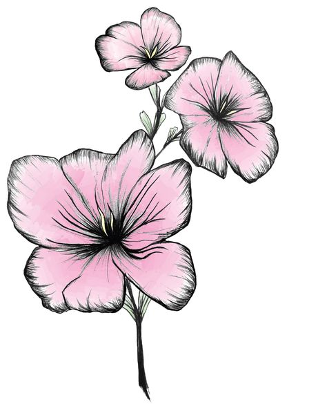 Korean Hibiscus, Hibiscus Flower Drawing, Hibiscus Flower Tattoos, Rose Mallow, Hibiscus Syriacus, Hibiscus Tattoo, Mallow Flower, Beautiful Flower Drawings, Asian Painting