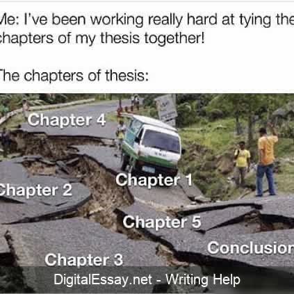 Graduate School Humor, University Memes, Phd Humor, College Meme, Studying Memes, Phd Life, Writing Humor, College Memes, Persuasive Essays