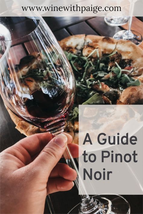 Where is Pinot Noir grown? What do you pair with Pinot Noir? This guide to Pinot Noir answers these questions and more! | #wine #pinotnoir | www.winewithpaige.com Best Pinot Noir Wine, Pinot Noir Food Pairing, Wine Basics, Wine Variety, Wine 101, Wine Journal, Wine Folly, Best Red Wine, Pinot Noir Wine