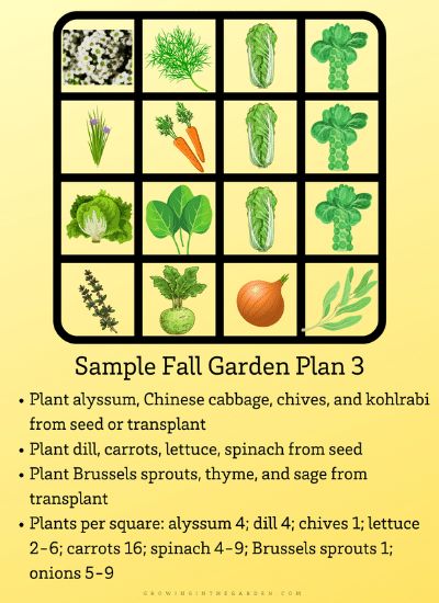 Square Foot Gardening Plans, Clove Plant, Diy Homesteading, Raised Vegetable Garden, Square Foot Garden, Garden Witch, Raised Vegetable Gardens, Garden Labels, Starting Seeds Indoors