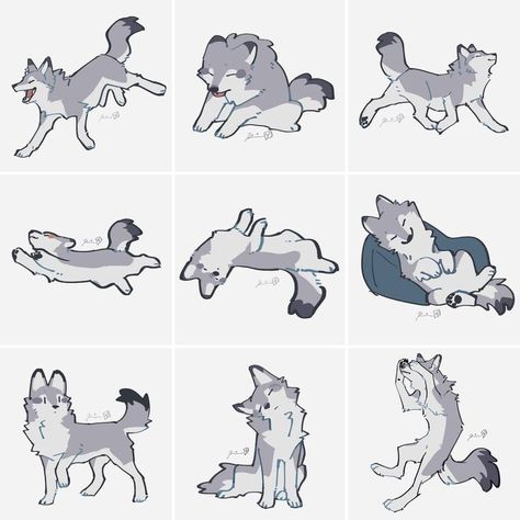 Wolf Poses, Dog Design Art, Cute Wolf Drawings, Awesome Drawings, Cartoon Wolf, Gorgeous Animals, Canine Drawing, Some Drawings, Canine Art