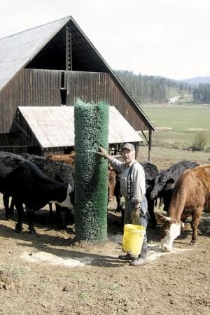 FARM SHOW - Street Sweeper Brooms Make Nifty Back Scratchers Shop Hacks, Cattle Corrals, Farming Tractors, Bedroom Decor Modern, Farm Hacks, Agriculture Equipment, Horse Farm Ideas, Street Sweeper, Cattle Barn