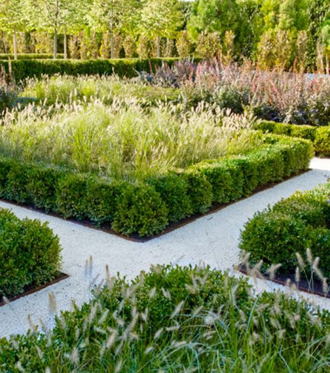 Sawyer berson design Sawyer Berson, Garden Texture, Cloud Pruning, Knot Garden, Garden Formal, Street Landscape, Garden Landscaping Diy, Edible Gardens, Box Garden