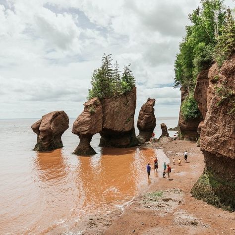 There's just no place like New Brunswick! Imagine exploring the stunning Hopewell Rocks in the Bay of Fundy, spotting magnificent whales on a wildlife tour, and savoring a delicious freshly-caught seafood feast. Let us help you design your dream vacation with our custom independent travel packages and discover the best of this captivating province. Check out tour packages here: https://www.andersonvacation.com/province/new-brunswick . 📸 by Tourism New Brunswick, Josh Mario #NB #exploremore... Hopewell Rocks, Seafood Feast, Canada Summer, Bay Of Fundy, Eastern Canada, Atlantic Canada, Summer Road Trip, Travel Packages, New Brunswick