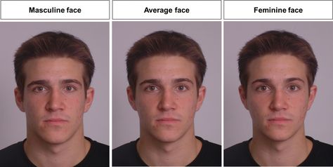 Masculine vs  feminine face Feminine Vs Masculine Face, Masculine Vs Feminine Face Drawing, Woman With Masculine Features, Lookmaxxing Guide, Masculine Eyebrows, Masculine Face Reference, Anatomy Hacks, Goat Pics, Face Shape Contour