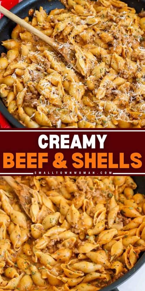 You're going to love these Creamy Beef and Shells! Loaded with ground beef, this pasta dinner idea is hearty and cozy. Save this recipe using pasta shells for a delicious home-cooked meal in one pot! Recipes Using Pasta, Creamy Beef And Shells, Beef And Shells, Dinner Specials, Shell Pasta Recipes, Beef Pasta Recipes, Simple Family Meals, Shells Recipe, Homemade Foods