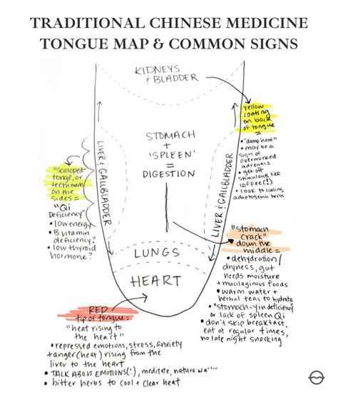 Chinese Medicine Diet, Tcm Traditional Chinese Medicine, Happy Brain, Acupressure Therapy, Eastern Medicine, Tongue Health, Energy Medicine, Qi Gong, Holistic Medicine