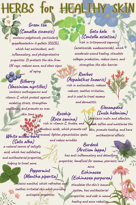 Discover the power of herbs for glowing, healthy skin! There are several herbs with proven healing properties for the skin, used to reduce inflammation, heal wounds, moisturize, protect against infections, and combat aging.  These natural remedies can enhance your skincare routine. These herbs have scientifically backed effects on skin health, but it's important to consider individual reactions and potential allergies before use. 
#HerbsForSkin #HealthySkin #NaturalSkincare #HerbalRemedies #GlowingSkin #HerbBeauty #SkinCareTips #NaturalBeauty #HerbPower #HealthyGlow For Healthy Skin, Wound Healing, Natural Herbs, Healthy Glow, Reduce Inflammation, Herbal Remedies, Healing Properties, Skin Health, Aging Signs