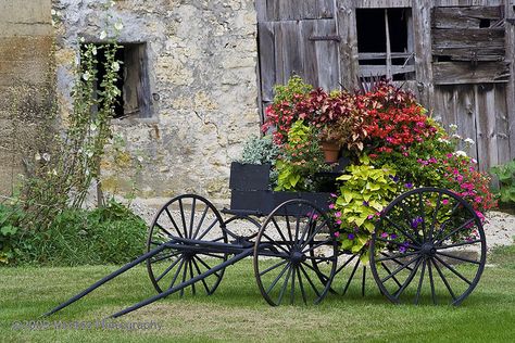 Now I might let Lonnie put this in the front yard instead of that broken western style wagon he wants! Wagon With Flowers, Garden Upcycling, Flower Wagon, Farm Landscaping, Hay Wagon, Land Scaping, Wagon Planter, Antique Wagon, Farm Wagons